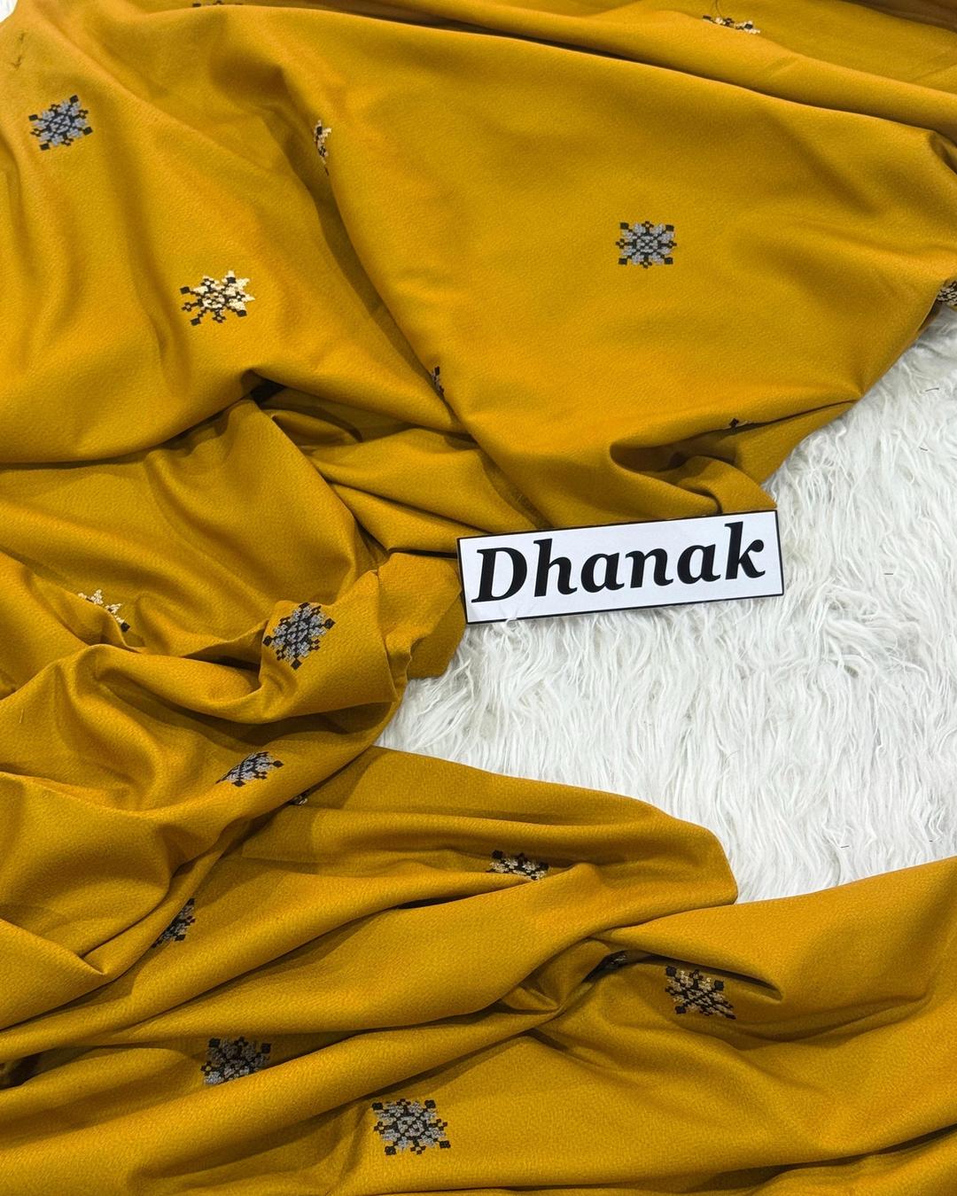 Dhanak 2pc Embroidered D06