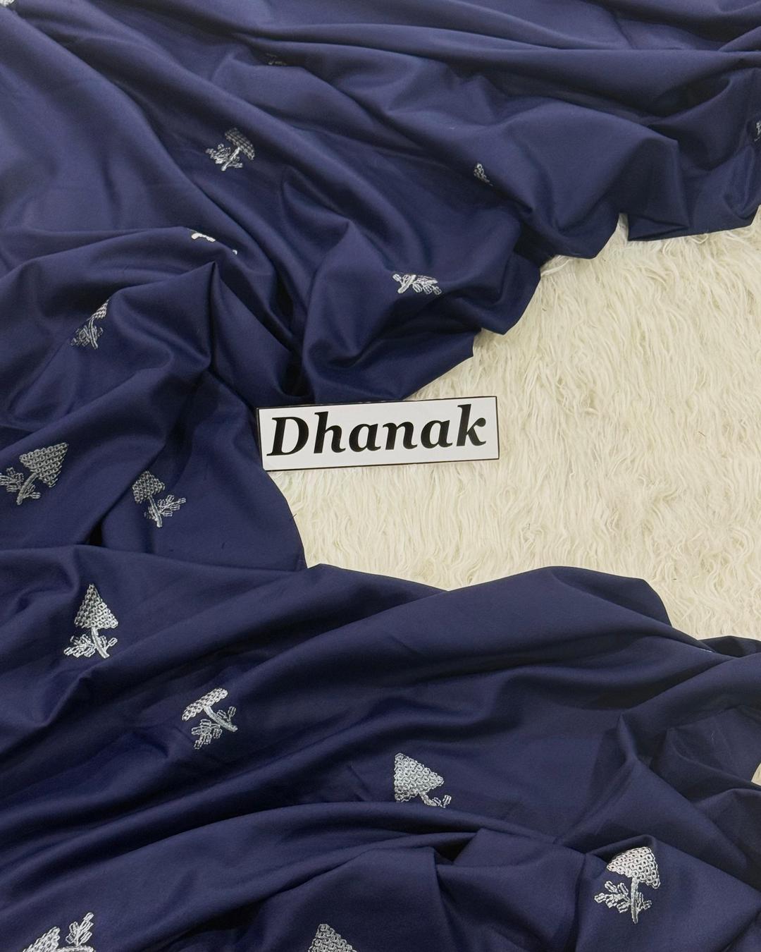 Dhanak 2pc Embroidered D05